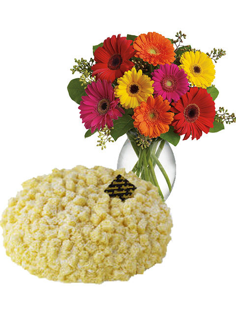 torta mimosa con bouquet di gerbere colorate